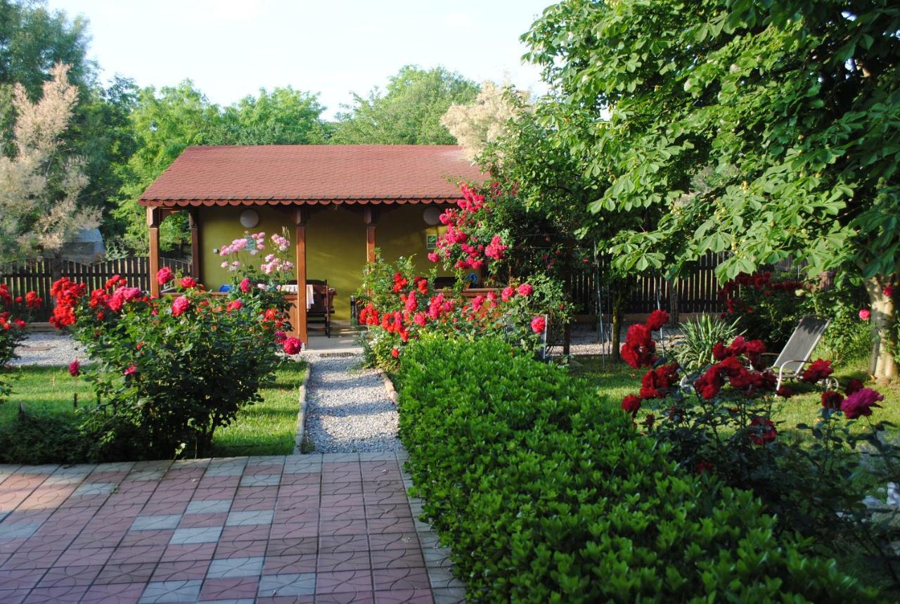 Vila Delta Travel - Mila 23 Mila Douăzeci şi Trei Екстериор снимка